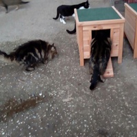 photo de livraison pour Refuge du Poil à la Plume