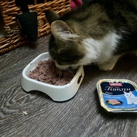 photo de livraison pour L'Arche de Ploum