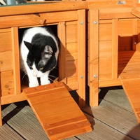 photo de livraison pour Ecole du Chat Libre de Caillerot