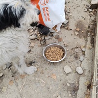photo de livraison pour Asociația Hăpluț și prietenii