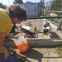 photo de livraison pour Innocente