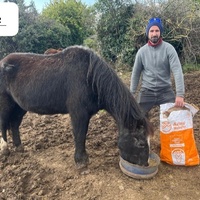 photo de livraison pour La Retraite des Chevaux des Causses