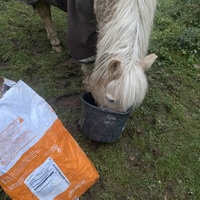 photo de livraison pour Espoir au Galop