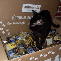photo de livraison pour Les Chats de la Tour