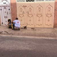 photo de livraison pour L'Arche de Noé