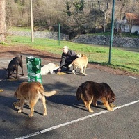 photo de livraison pour Beta Zajecar