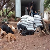 photo de livraison pour Help Adopt Moroccan Animals