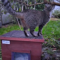 photo de livraison pour Chez Minou