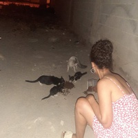 photo de livraison pour Help Adopt Moroccan Animals