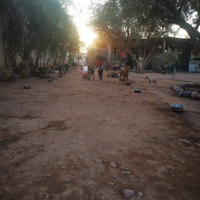 photo de livraison pour Help Adopt Moroccan Animals