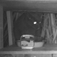 photo de livraison pour Au Rendez-vous des Animaux