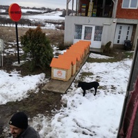 photo de livraison pour Animal Shields Oradea