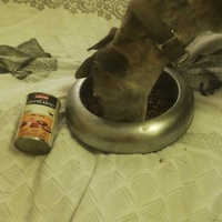 photo de livraison pour AVRAH