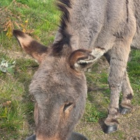 photo de livraison pour ADADA