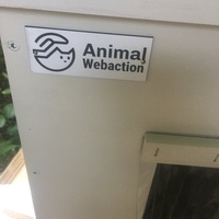 photo de livraison pour Félin Pour L’Hôte