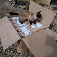 photo de livraison pour Ecole du Chat d’Arbois