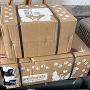 photo de livraison pour École du chat libre du Bocage bressuirais