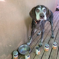 photo de livraison pour Le Grand Cœur de Lola