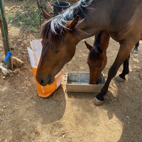 photo de livraison pour Equi-Vivre
