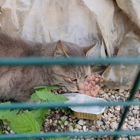 photo de livraison pour Hope14