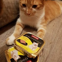 photo de livraison pour Tends-nous la Patte