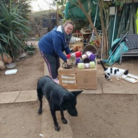 photo de livraison pour Chats Libres de Béziers