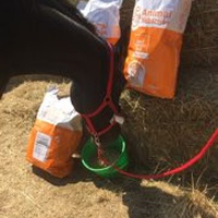 photo de livraison pour Association hippique du Caroux