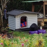 photo de livraison pour Les Chats'nonymes