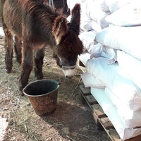 photo de livraison pour Equi-Vivre