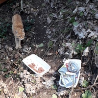 photo de livraison pour Sans Croquettes Fixes