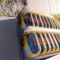 photo de livraison pour Chats Oubliés