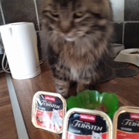 photo de livraison pour Stérilcat 80