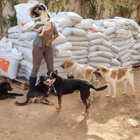 photo de livraison pour Help Adopt Moroccan Animals