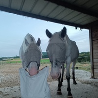 photo de livraison pour Refuge Cheval Nature En Aquitaine