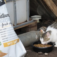 photo de livraison pour Jardin des Chats