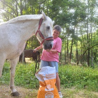 photo de livraison pour Association hippique du Caroux