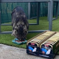 photo de livraison pour Bien vivre avec les Chats Sallélois