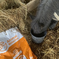 photo de livraison pour Espoir au Galop