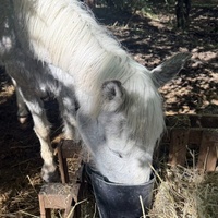 photo de livraison pour Association Faune Rescue