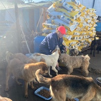 photo de livraison pour ADAN TETOUAN