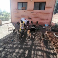 photo de livraison pour L'Arche de Noé