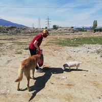 photo de livraison pour Mira Shorak Assante Di Capillo