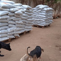 photo de livraison pour Help Adopt Moroccan Animals