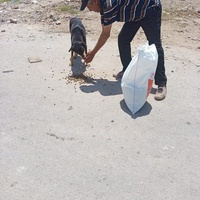 photo de livraison pour Comme Chiens et Chats Maroc