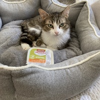 photo de livraison pour Cosette