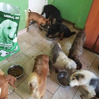 photo de livraison pour ПРИХВАТИЛИШТЕ ДРАЖЕВАЦ