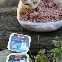 photo de livraison pour Jardin des Chats