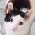 photo animal