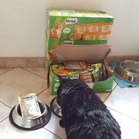 photo de livraison pour Gamelles sans Frontière