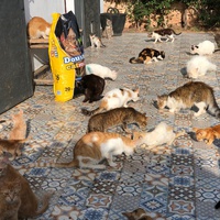 photo de livraison pour Corinne Teissier